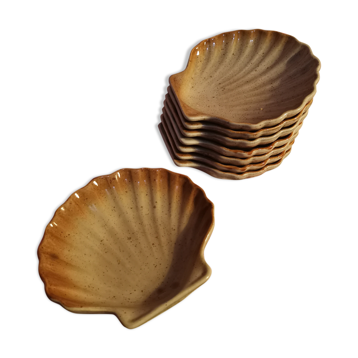 Shell plate St Jacques