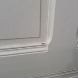 Communication door 81,8x217,7cm old molded