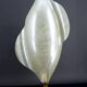 Important designer living room lamp, by Maison Rougier, Circa 1970-1980