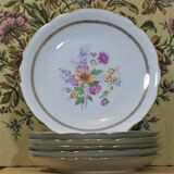 Assiettes de table anciennes en porcelaine estampillé C.N.P