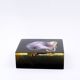 Jean Claude Dresse / Pierre Giraudon Inclusion of Pearl Oyster Shell
