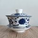 Gaiwan traditional chinese tea set in blue and white porcelain