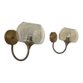 Paire d'appliques vintage en laiton et verre fumé, France, 1970.