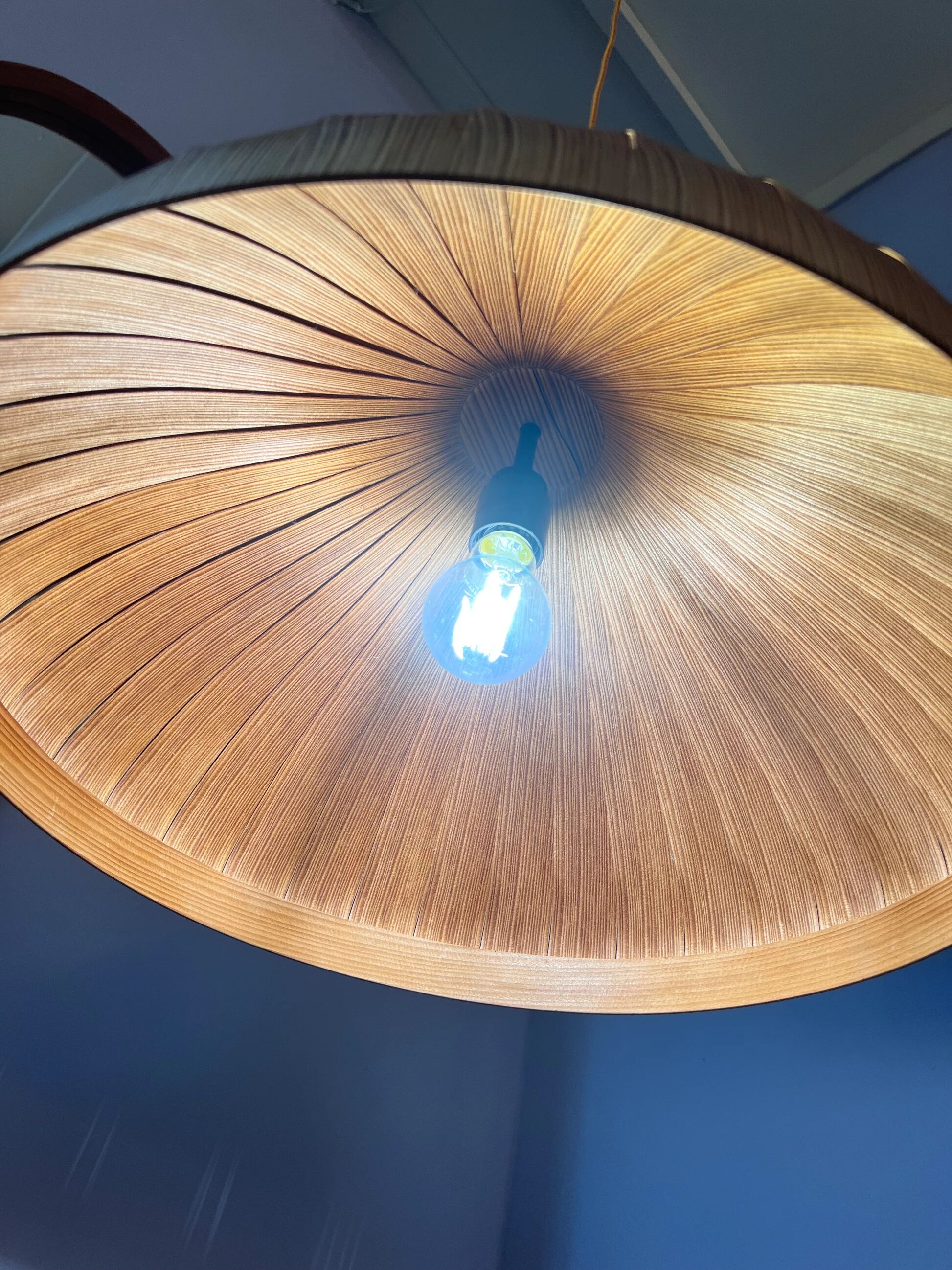 Pendant lamp by Hans-Agne Jakobsson for AB Ellysett Markaryd