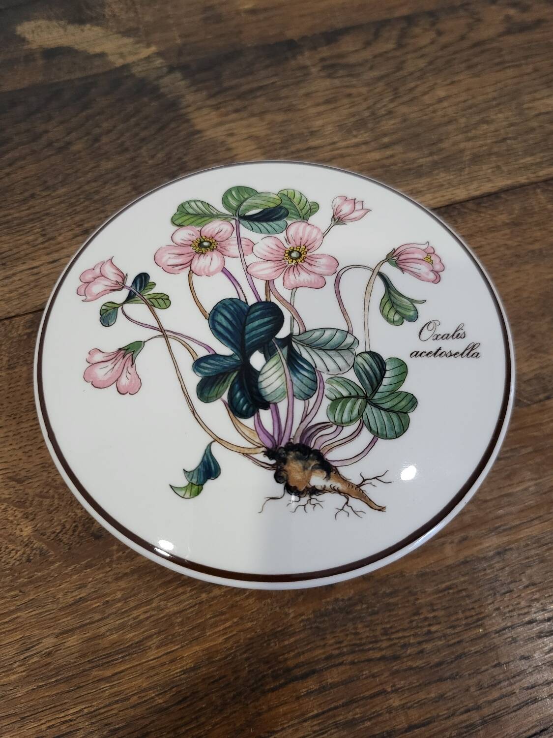 Botanica Villeroy and Boch Box