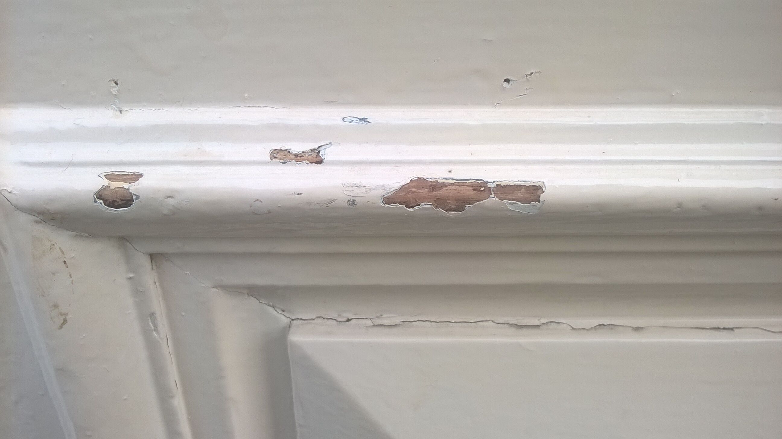 Old Haussmann double doors