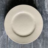 Flat Plates Jars Footprint Gum