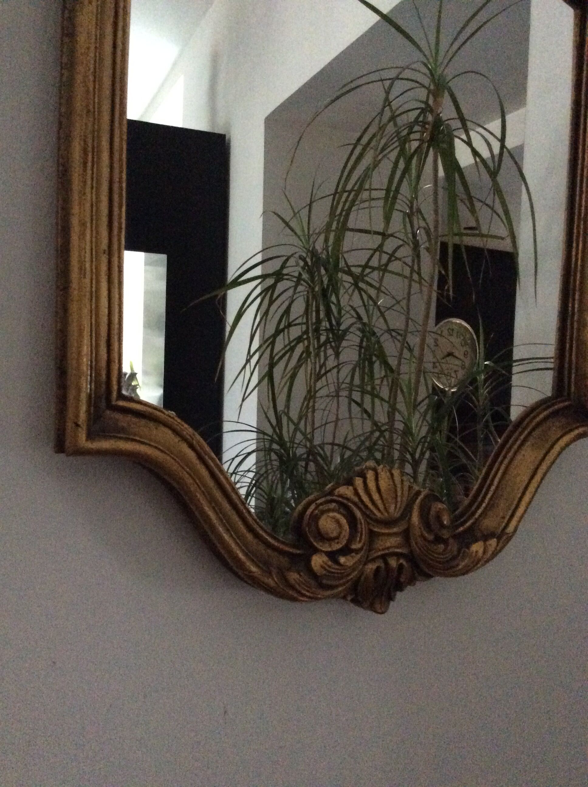 Louis XV style mirror in gilded wood - 53x37cm