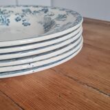 Service of 6 plates in iron earth