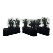 Ensemble de trois jardinières en fonte