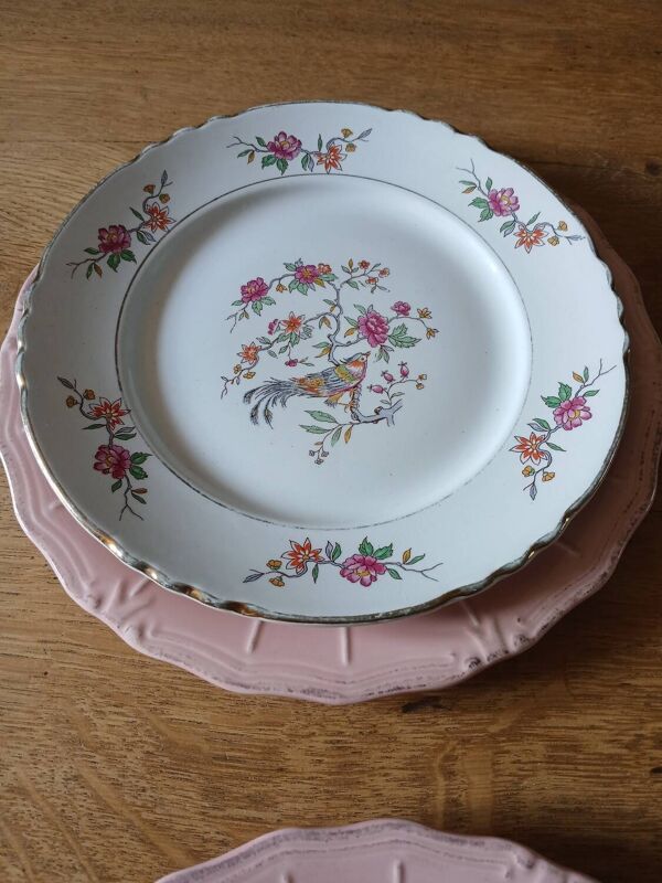 9 assiettes plates anciennes