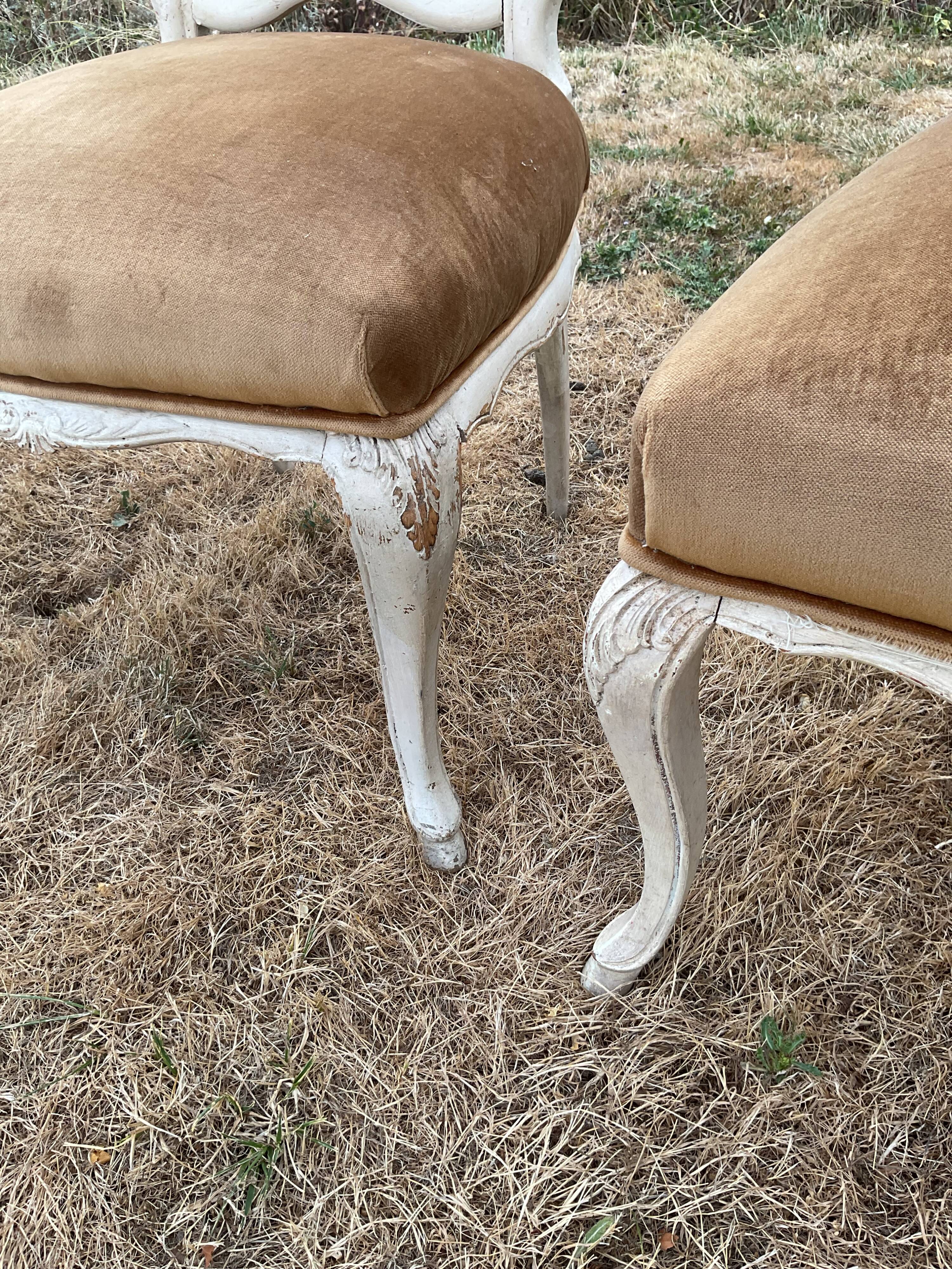 Six chaises gustaviennes