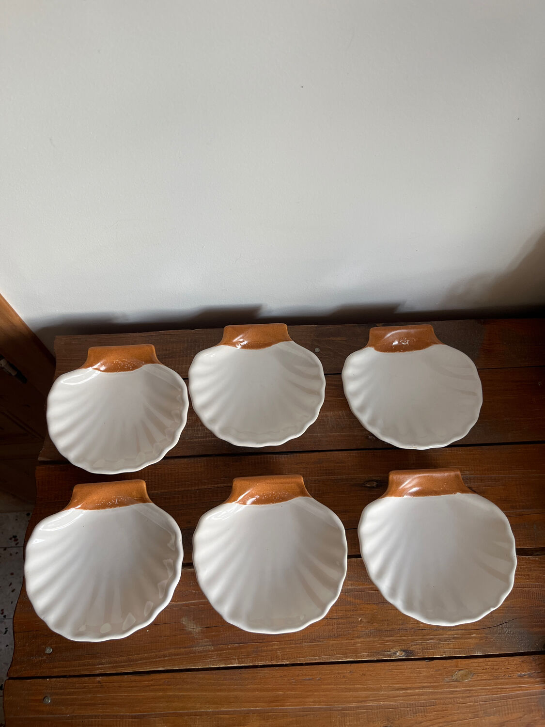 6 shell-shaped bowls