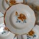 Digoin Sarreguemines 6 soup plates 9181