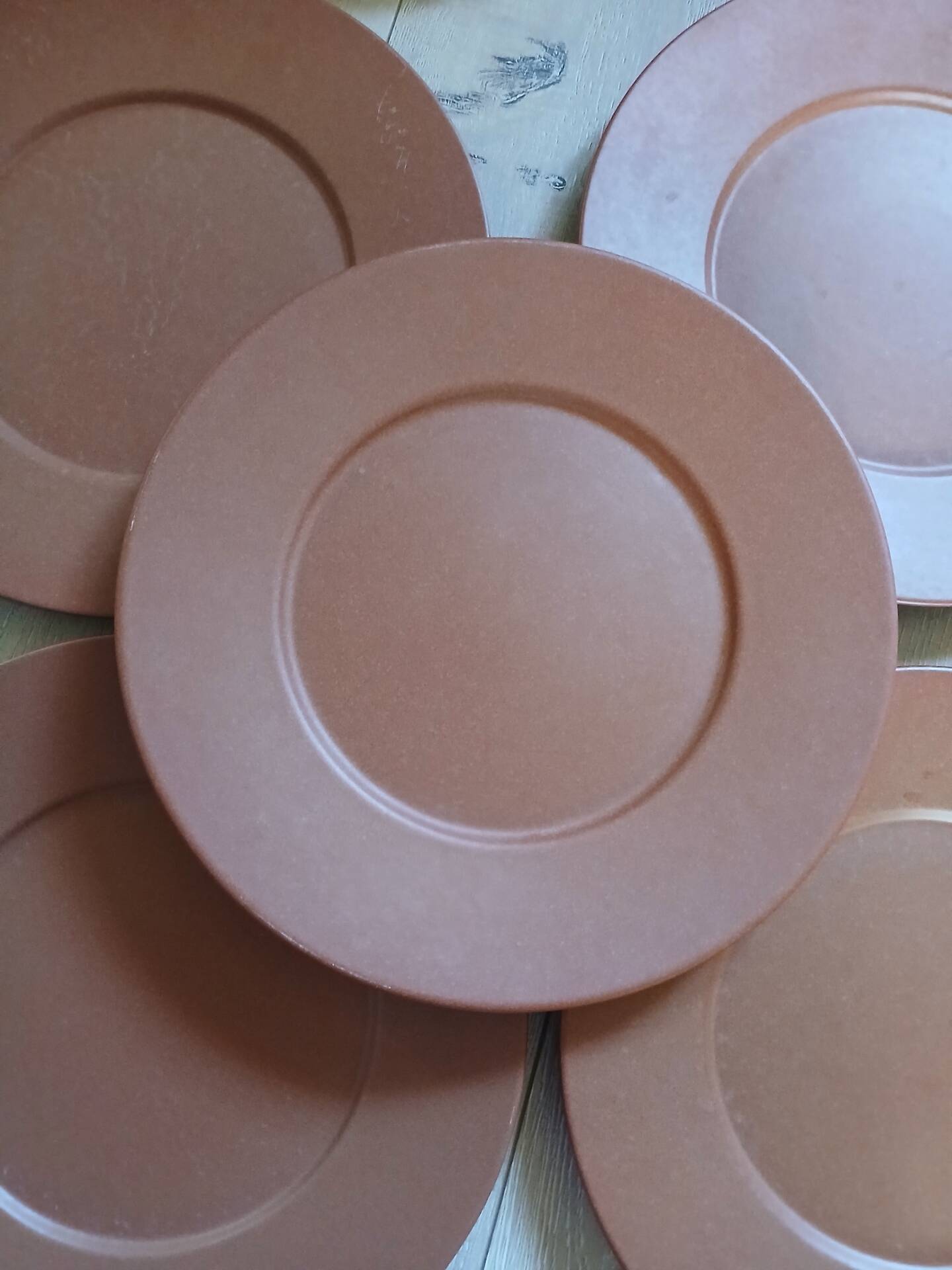 12 large flat plates Molin / Charolles