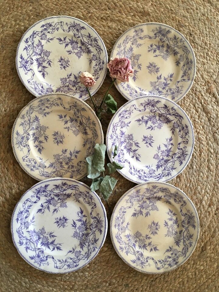 Six plates serves iron land U & C Sarreguemines collection "Thorn".