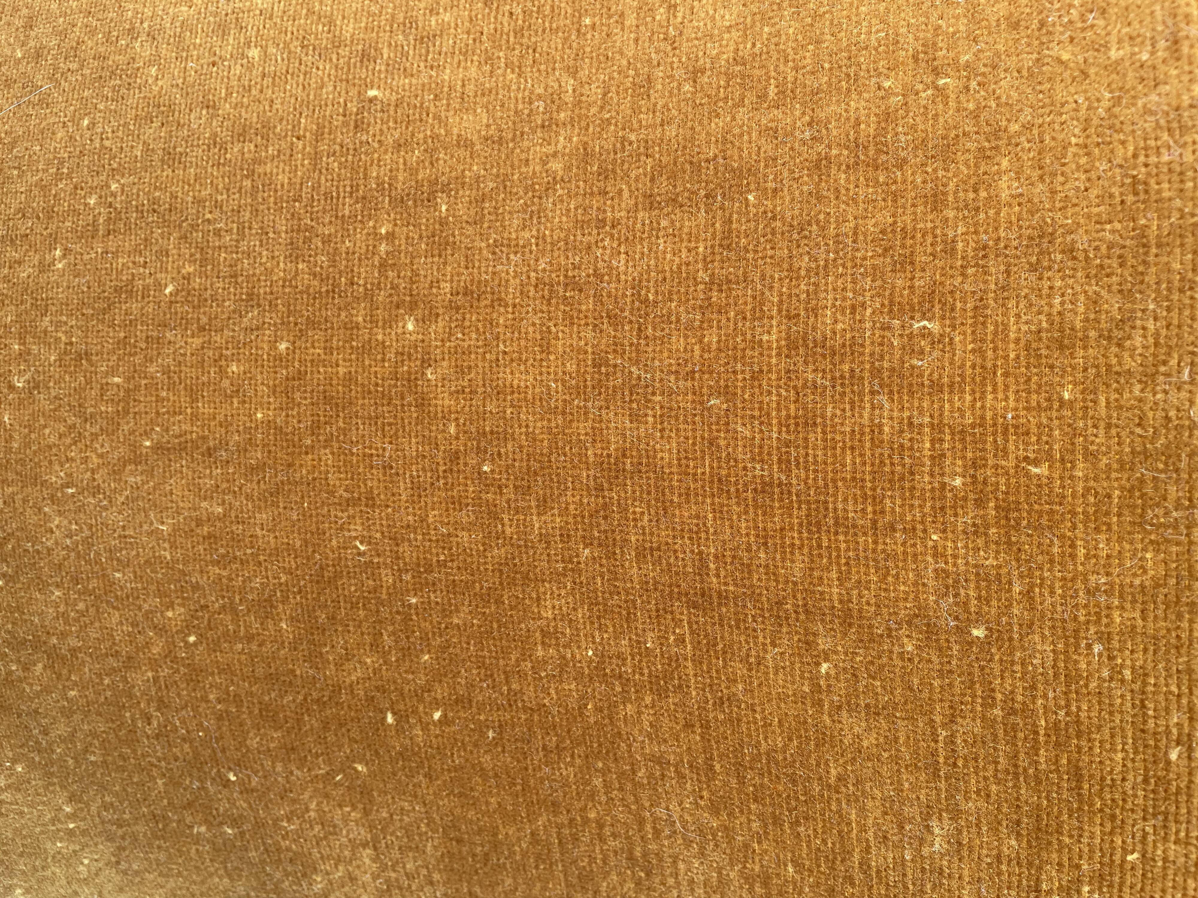 Padded golden yellow velvet toad