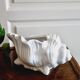 Cache pot coquillage barbotine blanche
