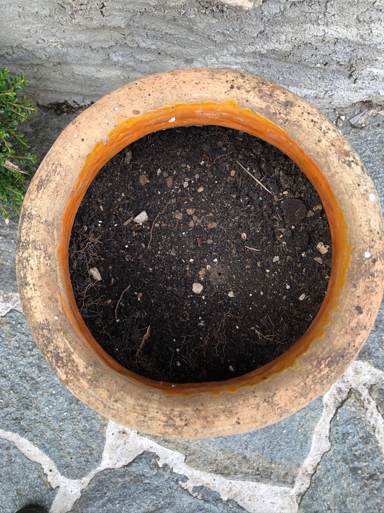 Large terracotta jar