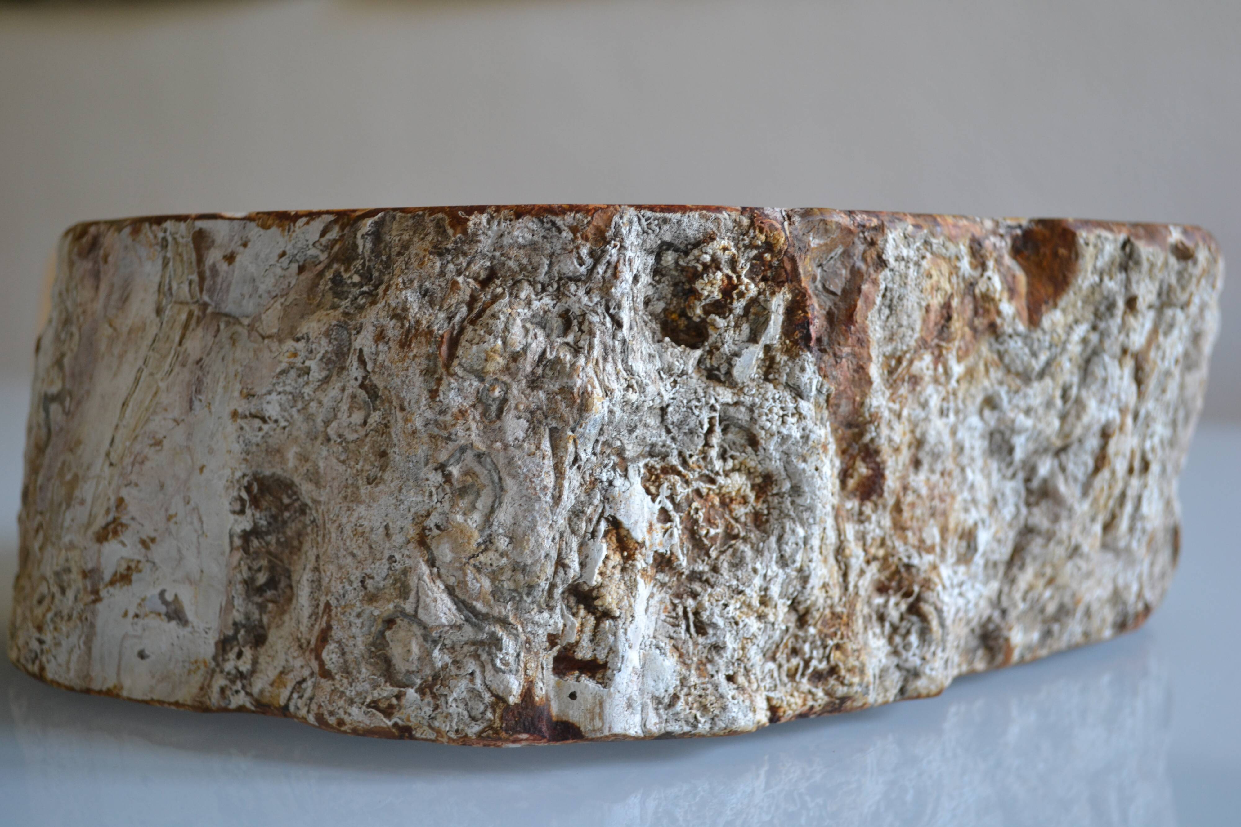 Empty pocket or ashtray in fossilized wood