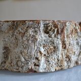 Empty pocket or ashtray in fossilized wood