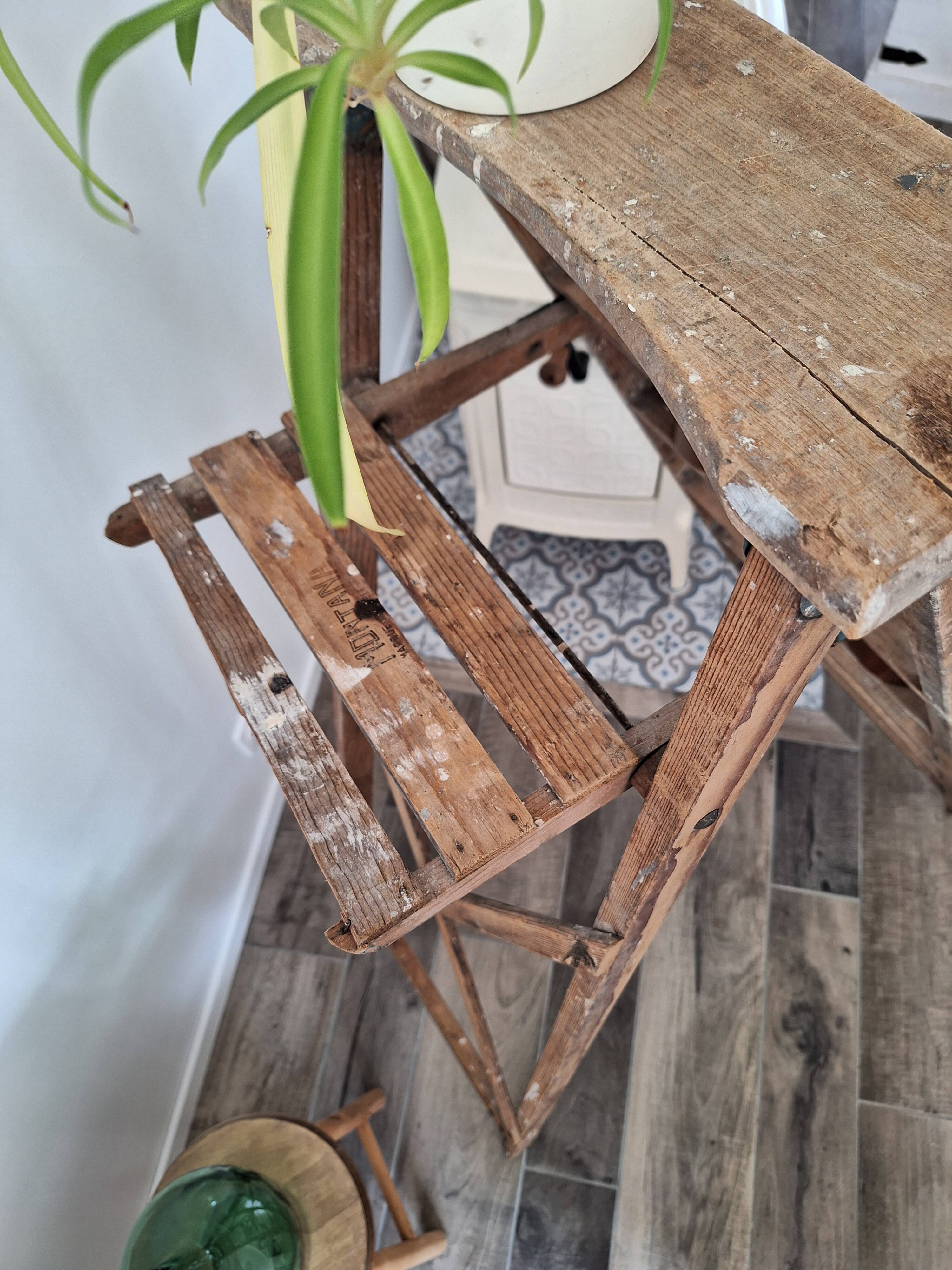 Montana painter's stepladder