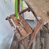 Montana painter's stepladder