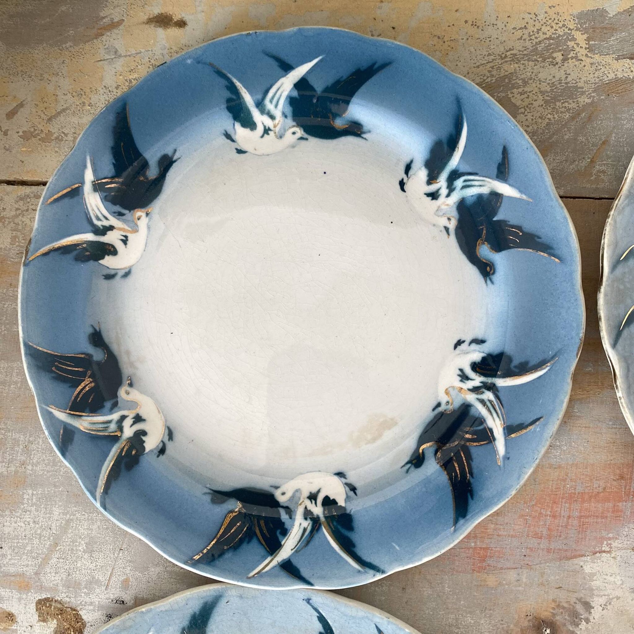 Rares assiettes à dessert Terre de Fer Choisy le roi , oiseaux
