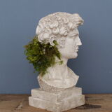 Head David in full plaster