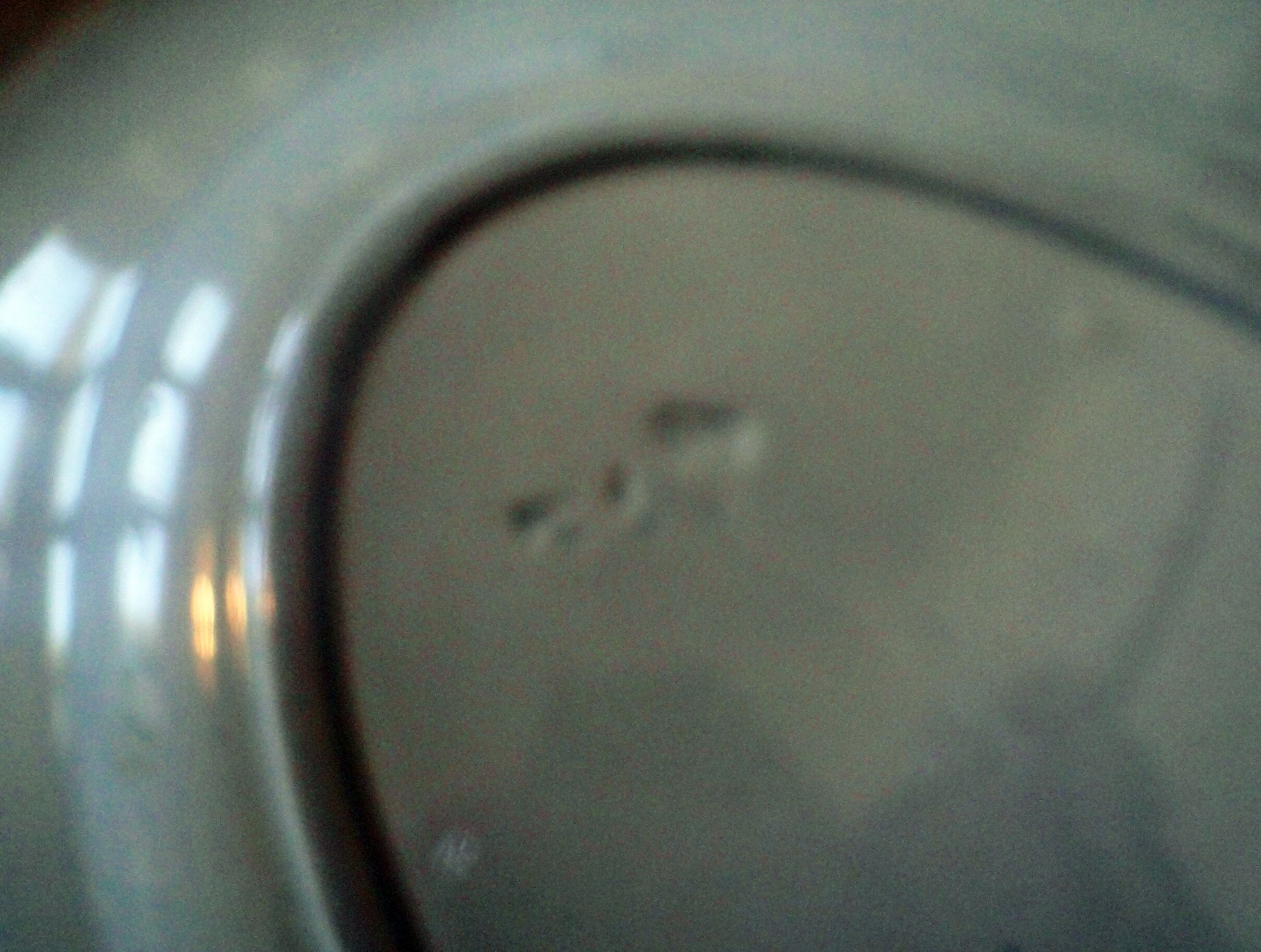 Oval service dish in faience frieze blue green model djelfa grave in hollow p3