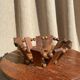 Vintage wooden basket
