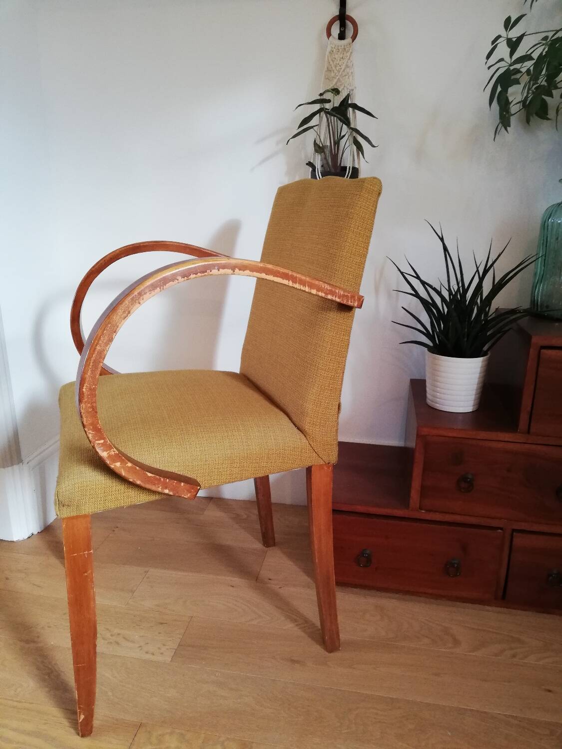 Bridge armchair with mustache back