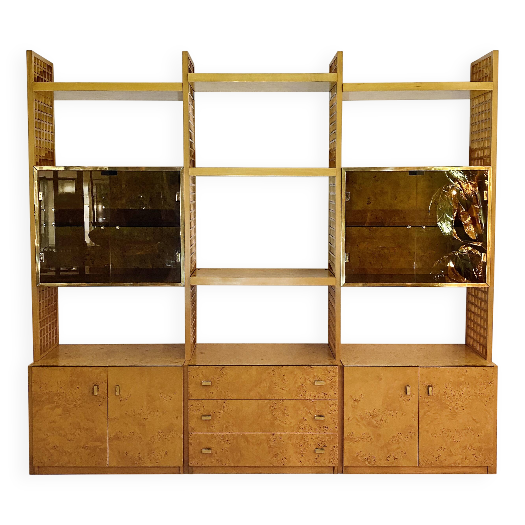 Gianluigi Gorgoni Display Unit 1970s  Fratelli Turi Bookshelf Glass Brass Briar Burl rizzo