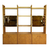 Gianluigi Gorgoni Display Unit 1970s  Fratelli Turi Bookshelf Glass Brass Briar Burl rizzo