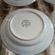 9 dinner plates English Garden