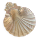 Scallop shell pocket in brass