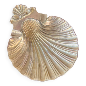 Scallop shell pocket in brass