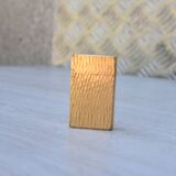 Briquet myon