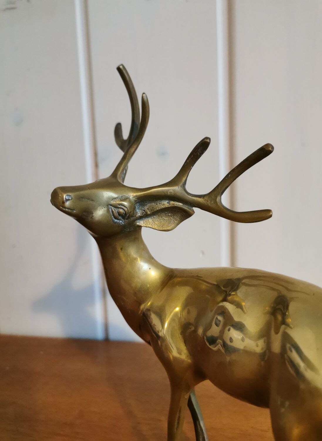 Young golden brass deer