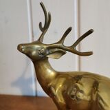 Young golden brass deer