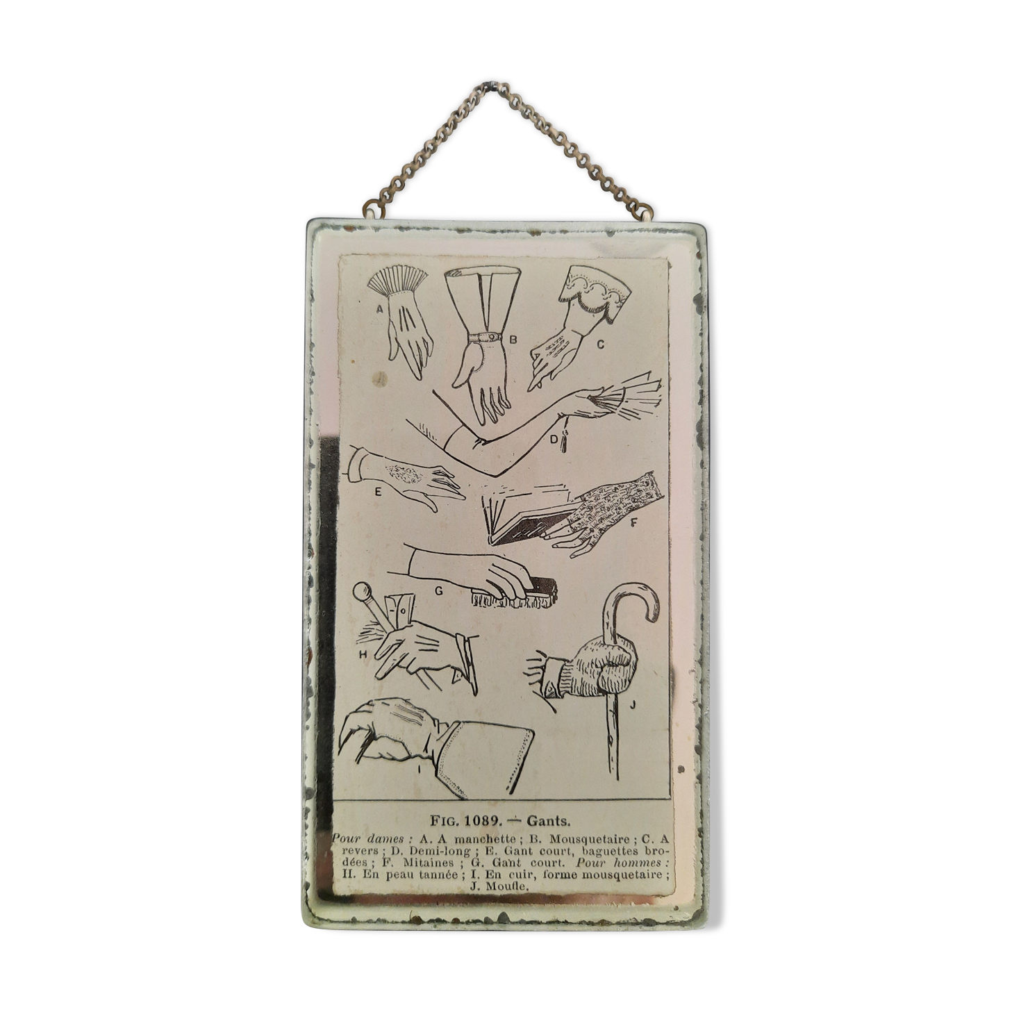 Ancient illustration of "gloves" taken from dictionary and inserted under mirror. Curiosity Cabinet