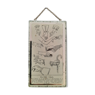 Ancient illustration of "gloves" taken from dictionary and inserted under mirror. Curiosity Cabinet
