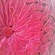 Coussin rond en velours