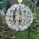 Dandelion pendant light