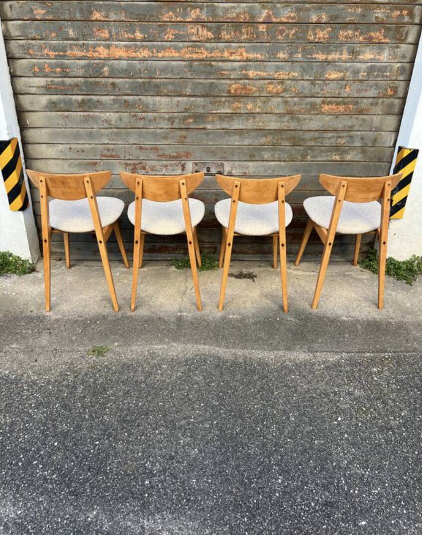 (Lot) 4 chaises Baumann Fontania (restaurées) 1960