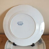 Duo of flat plates Art Nouveau 1900 Onnaing Granite Algeciras