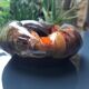 Cendrier/Vide poche Vallauris
