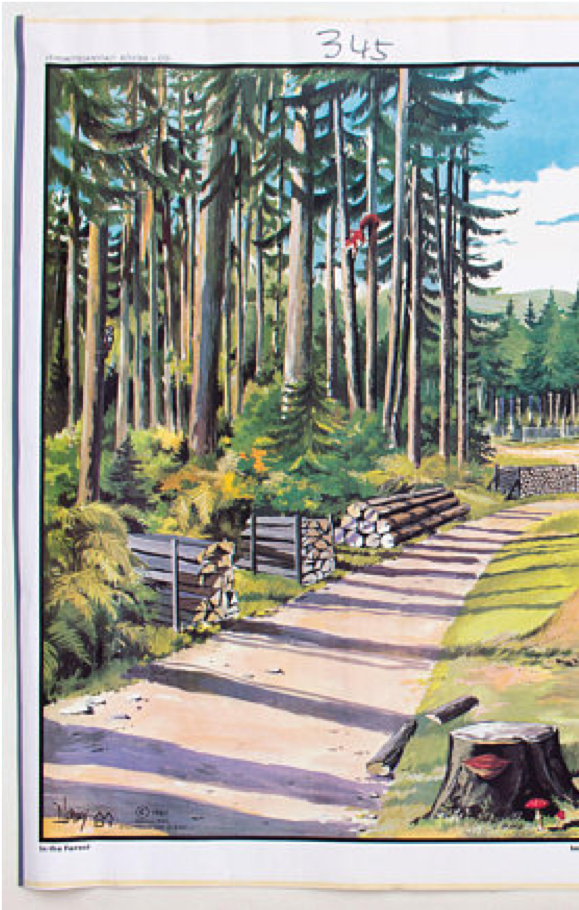 Dans le tableau de bois, éducatif, 1965