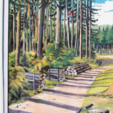 In the wooden board, educational, 1965