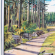 Dans le tableau de bois, éducatif, 1965